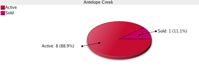 Colorado Springs Real Estate - Market Report for Antelope Creek - October 2008