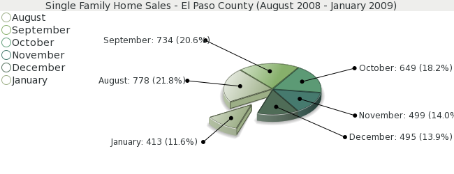 Single Family Home Sales for El Paso County - January 2009