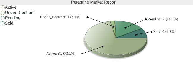 Colorado Springs Real Estate - Market Report - Peregrine