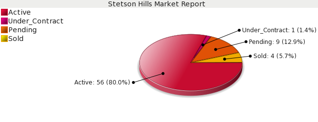 Colorado Springs Real Estate - Market Report - Stetson Hills Subdivision - December 2008