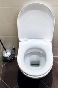 Interior of a typical water-closet with brush.