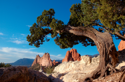 Garden of the Gods