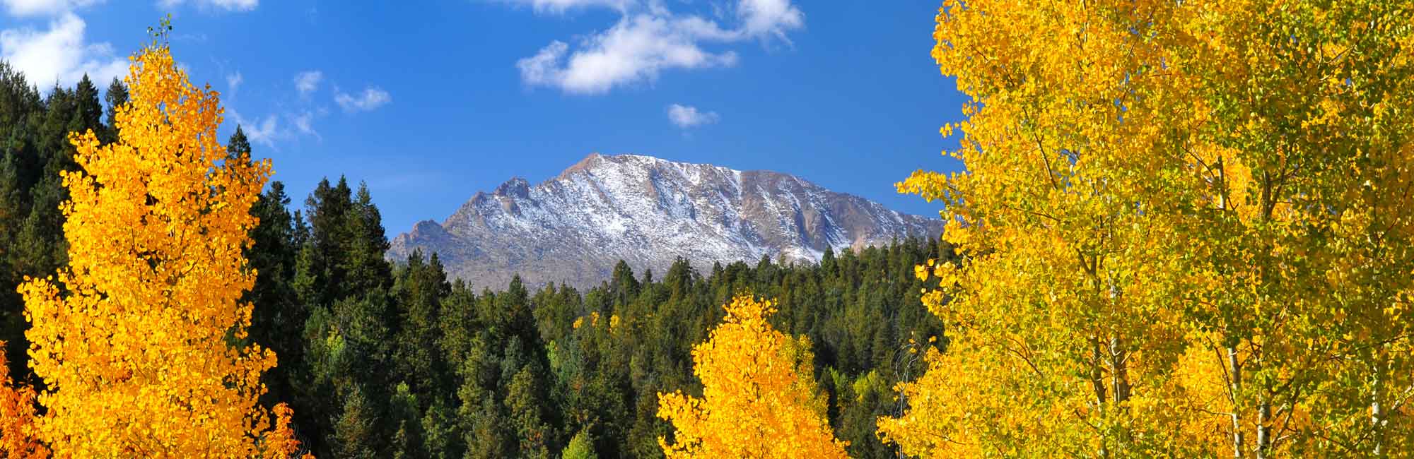 Colorado Springs Realtor Patricia Beck Colorado Springs Real Estate